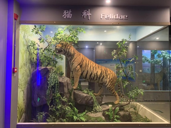 无标题.jpg