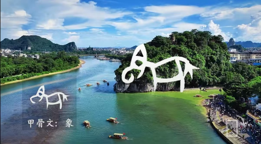 图片9.png 图片9.png