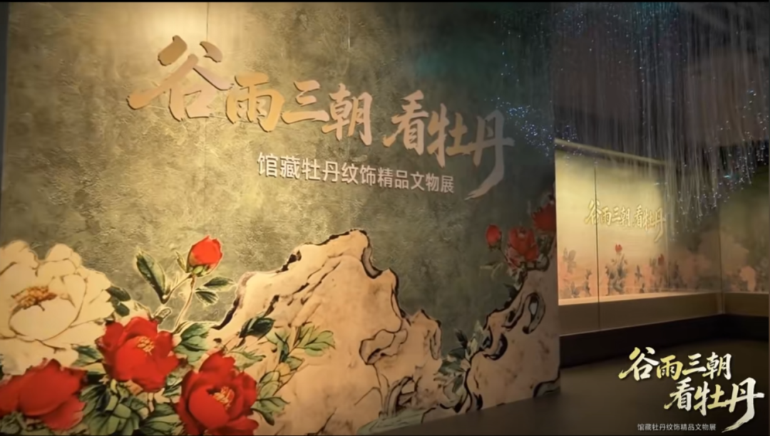 微信图片_2026-05-12_154014_567.png