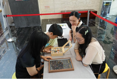 微信图片_20260609144932_269_32.png